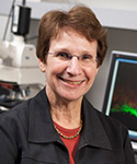 Joanne Weinberg